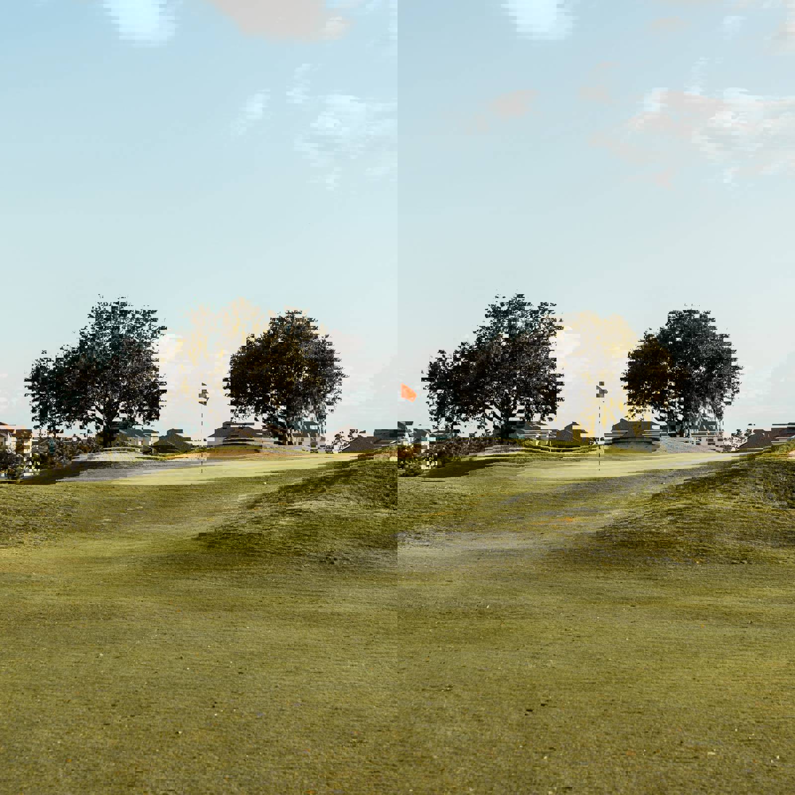 Brandon Williams Msqgyvdg58 Unsplash