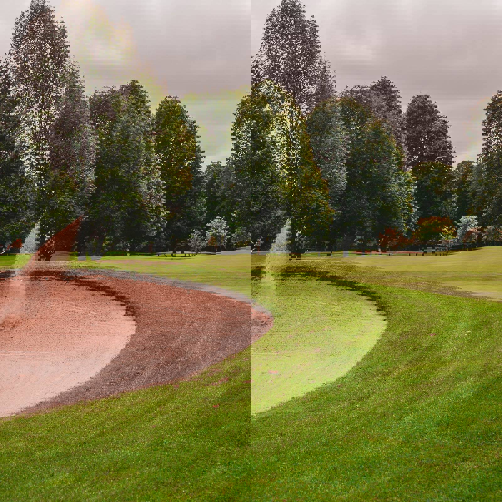 Mike Cox Offamo1mjos Unsplash